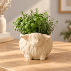 Cute Highland Cow Planter