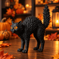 Frightened Black Cat