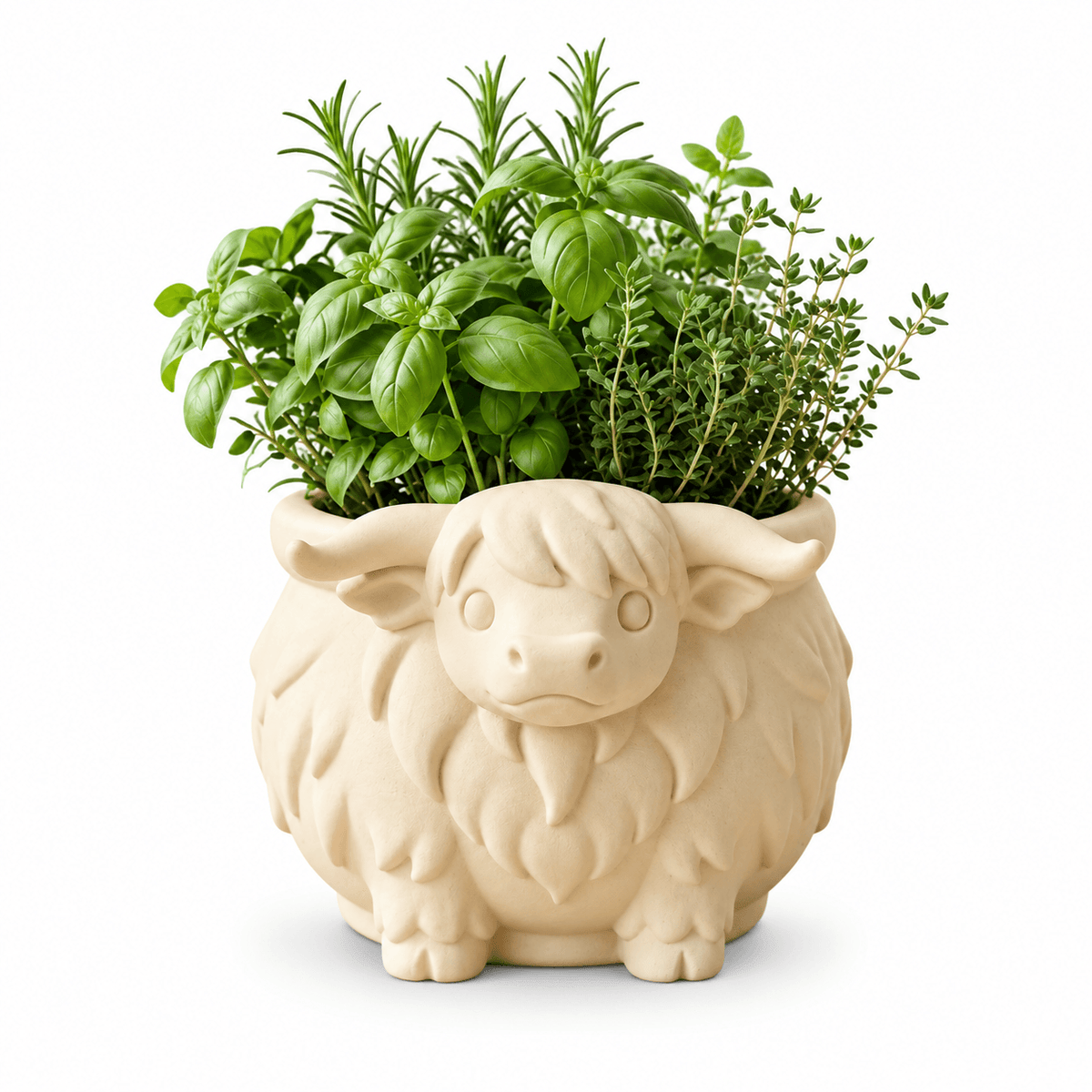 Cute Highland Cow Planter