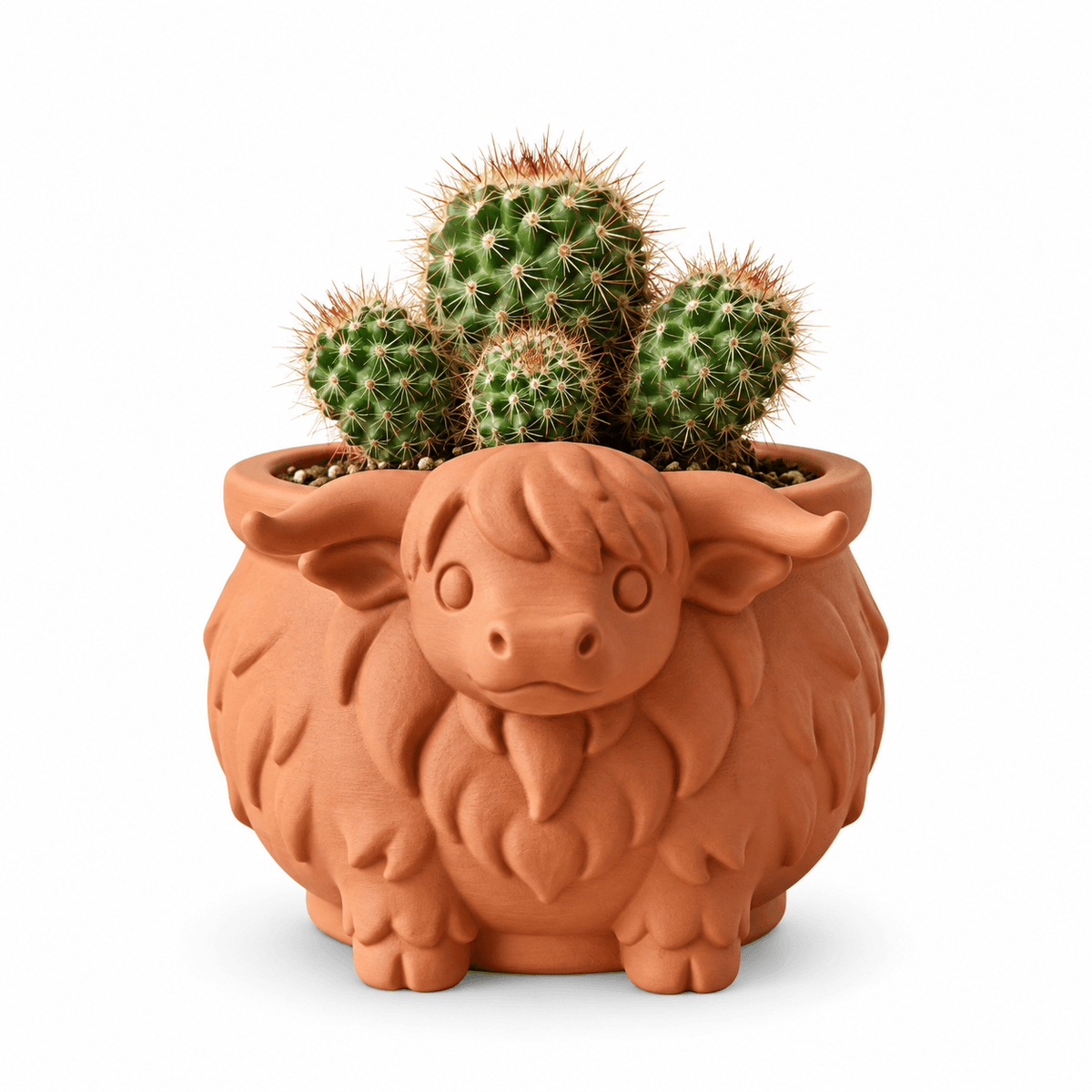 Cute Highland Cow Planter