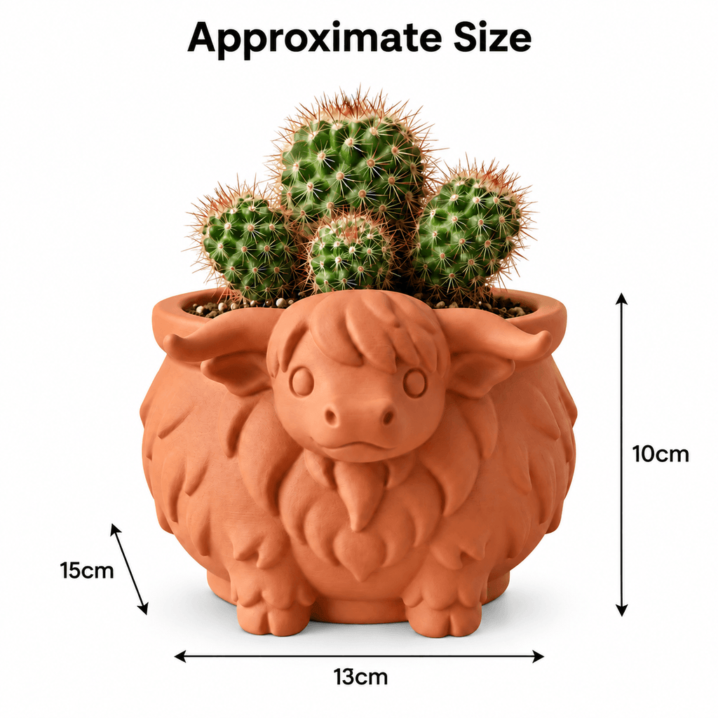 Cute Highland Cow Planter