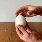 Flexible Fried Egg